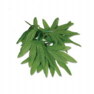 Tropical Fern Leaf Wristlet/Anklet (Pack Of 12)
