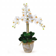 Triple Stem Phalaenopsis Silk Orchid Arrangement