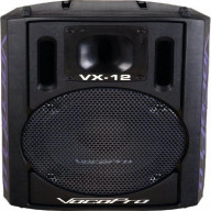 Vx-12 - Professional 12Ã¢Â‚¬Â Karaoke Vocal Speaker