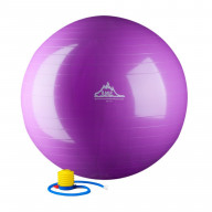 2000lbs Static Strength Exercise Stability Ball 45cm with Pump Purple