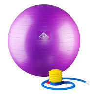 Professional Grade Stability Ball 55cm - Pro Series 1000lbs Anti-burst 2000lbs Static Weight Capacity Purple