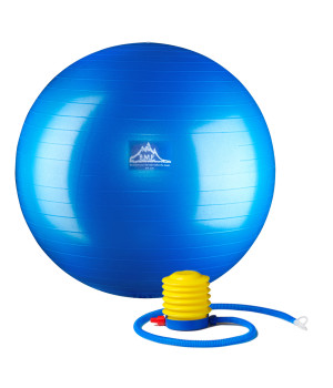 Professional Grade Stability Ball 55cm - Pro Series 1000lbs Anti-burst 2000lbs Static Weight Capacity Blue