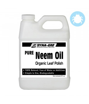 Dyna-Gro Neem Oil Leaf Polish 1 Gal.