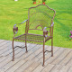 Sun Ray Iron Dining Chair (Set of 2) - Bronze