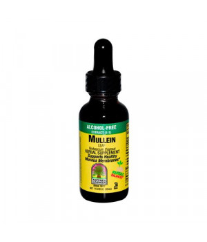 Nature's Answer Mullein Leaf (Alcohol Free 1 fl Oz)