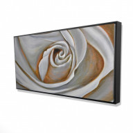 WHITE ROSE CLOSEUP - Framed Print on canvas by Begin Edition