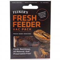 Flukers Dubia Roach Fresh Feeder Vac Pack