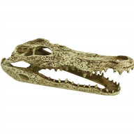 Komodo Alligator Skull Terrarium Decoration