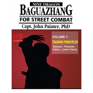 Nine Dragon Baguazhang Street Combat 1 Postures & Eight Palms DVD John Painter -VD5212A