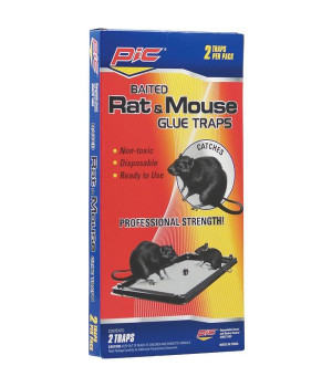 Rat/Mouse Glue Tray 2Pk