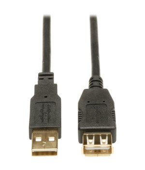 Usb Ext Cable 10 Ft