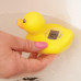 Room & Bath Thermometer - Duck