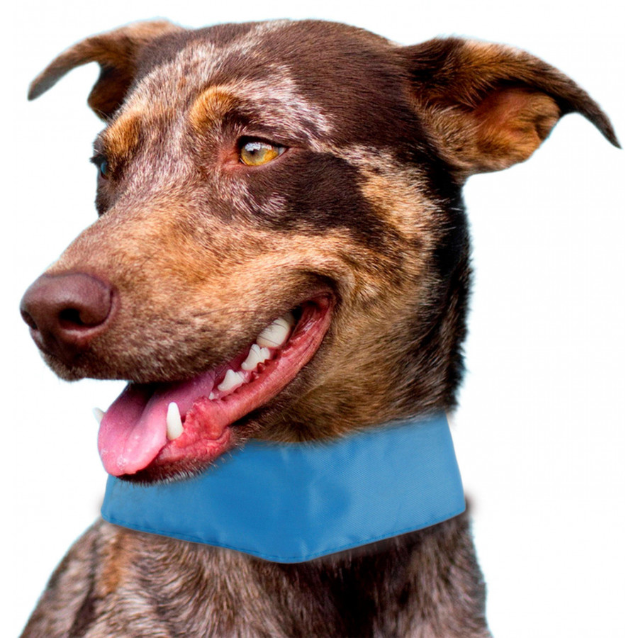 Pet Life Summer-Cooling' Insert Able And Adjustable Cooling Ice Pack Dog Neck Wrap - One Size - Blue