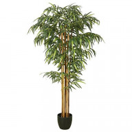 Vickerman 6' Bamboo Tree w/pot-Green - TA170101 (Case of 1)