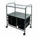 Mobile Organizer File Cart with 5 drawers