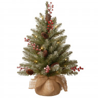 2' Dunhill Fir Tree with 15 Warm White Battery Operated LED Lights