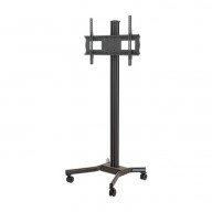 Mobile cart with height and tilt adjustment for 37