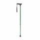 Comfort Grip T Handle Cane, Forest Green