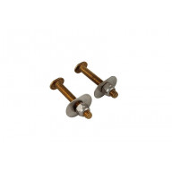 TOILET BOLTS SET (Pack of 1)