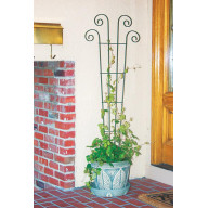 WAVED SCROLED TRELLIS 4' (Pack of 1)