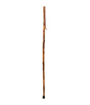 WALKIING CANE 48"HICKORY(Pack of 1)