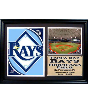 12x18 Photo Stat Frame - Tampa Bay Rays