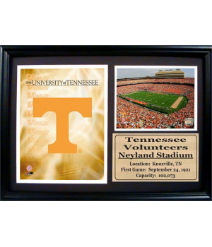 12x18 Photo Stat Frame - University of Tennessee