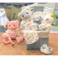 Sweet Baby of Mine New Baby Basket -Blue