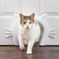Cat Corridor Interior Pet Door
