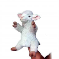 Lamb Puppet Lamb Chop