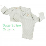 Infant Lap Tees Long Sleeve - 2 Pack Sage Striped