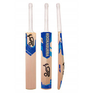 Florence The Boss Edition Cricket Bat Popular Willow Full Size Bat For Boys And Girls Multicolor (Blue Bat)