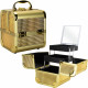 Gold Ice Cube 2-Tiers Extendable Trays Cosmetic Makeup Train Case with Mirror and Brush Holder VK008