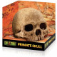 Exo Terra Terrarium Primate Skull Decoration