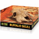 Exo Terra Terrarium Buffalo Skull Decoration