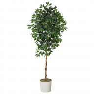 6 Ficus Artificial Tree in White Tin Planter