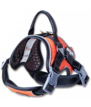 Dog Helios 'Scorpion' Sporty High-Performance Free-Range Dog Harness - Large / Orange