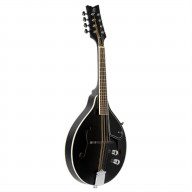 A-Style Series Acoustic-Electric Mandolin with Bag