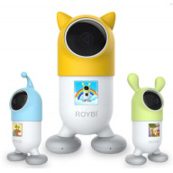Roybi Robot
