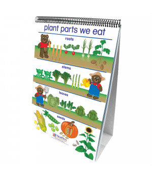NewPath Learning Early Childhood All About Plants Double Sided Laminated Flip Chart, 12 L x 18 W in
