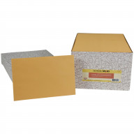 School Smart No Clasp Catalog Envelopes, 6 x 9 Inches, Kraft, Pack of 500
