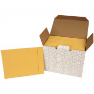 School Smart No Clasp Catalog Envelopes, 9 x 12 Inches, Kraft, Pack of 250