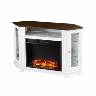 Dilvon Base Electric Media Fireplace with Storage