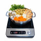 1650W Induction with Stainless Steel Panel & Control Knob + Pot Combo
