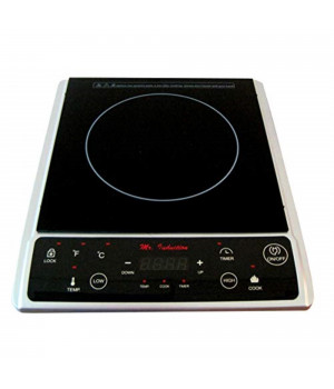 1300W Induction in Silver (Countertop)