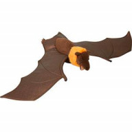 25 Flying Fox Bat