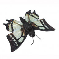 14 Butterfly (Swallowtail)