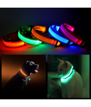 LED PET Safety Halo Style Collar
