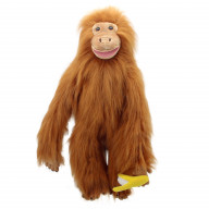 Primates: Orangutan (Large)