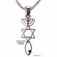 Menorah, Star & Fish Silver Necklace